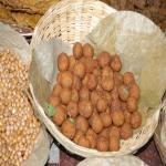 Vraj-Yatra-2014- (993)